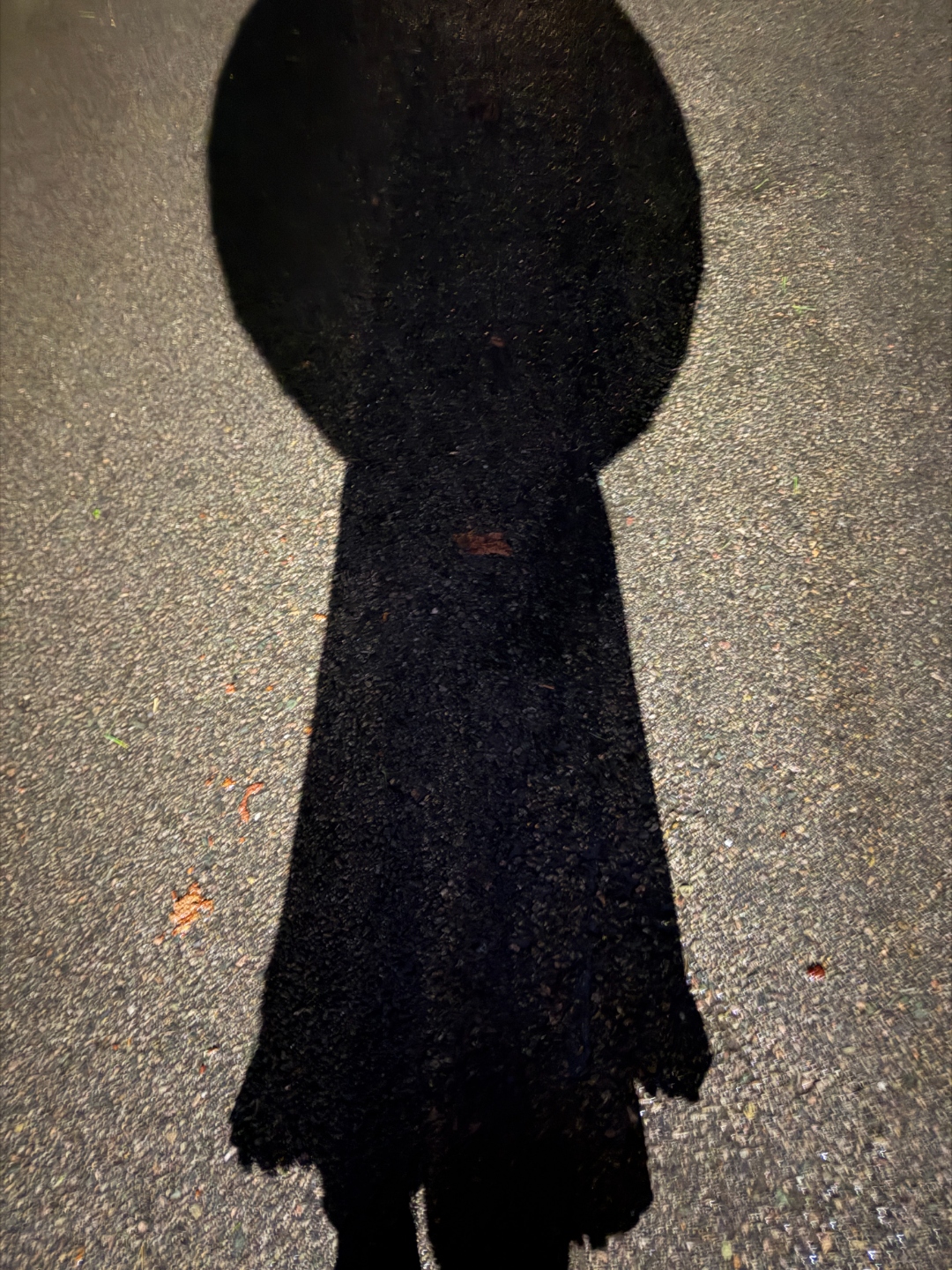 The observer, resolved as keyhole. Umbrella (bow) and long raincoat (bit) upon wet pavement, photographed under municipal lamp light at the moment of recognition.