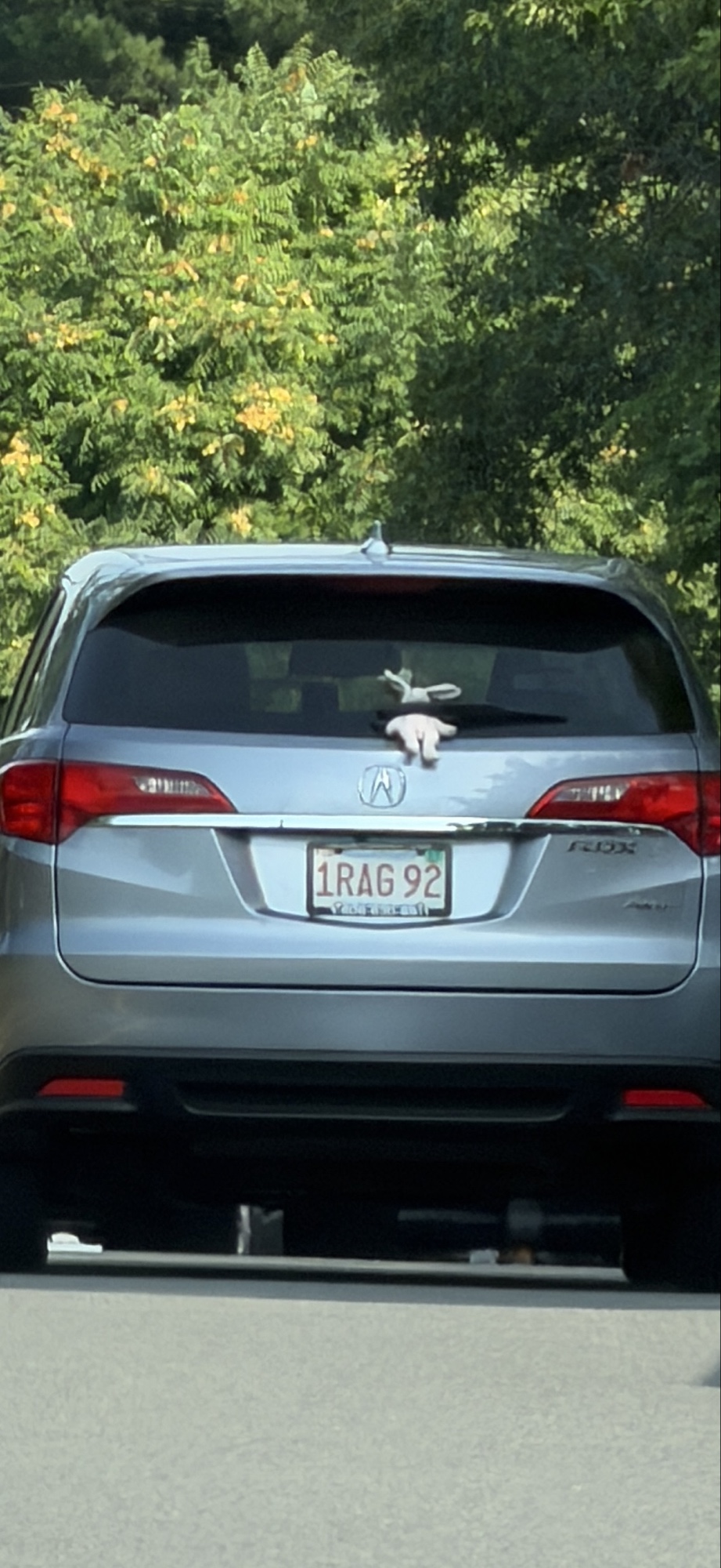 The leading vehicle, photographed from the following vehicle. The rabbit is secured at the rear wiper, facing rearward toward the observer. Registration plate legible; read below in evaluation order.