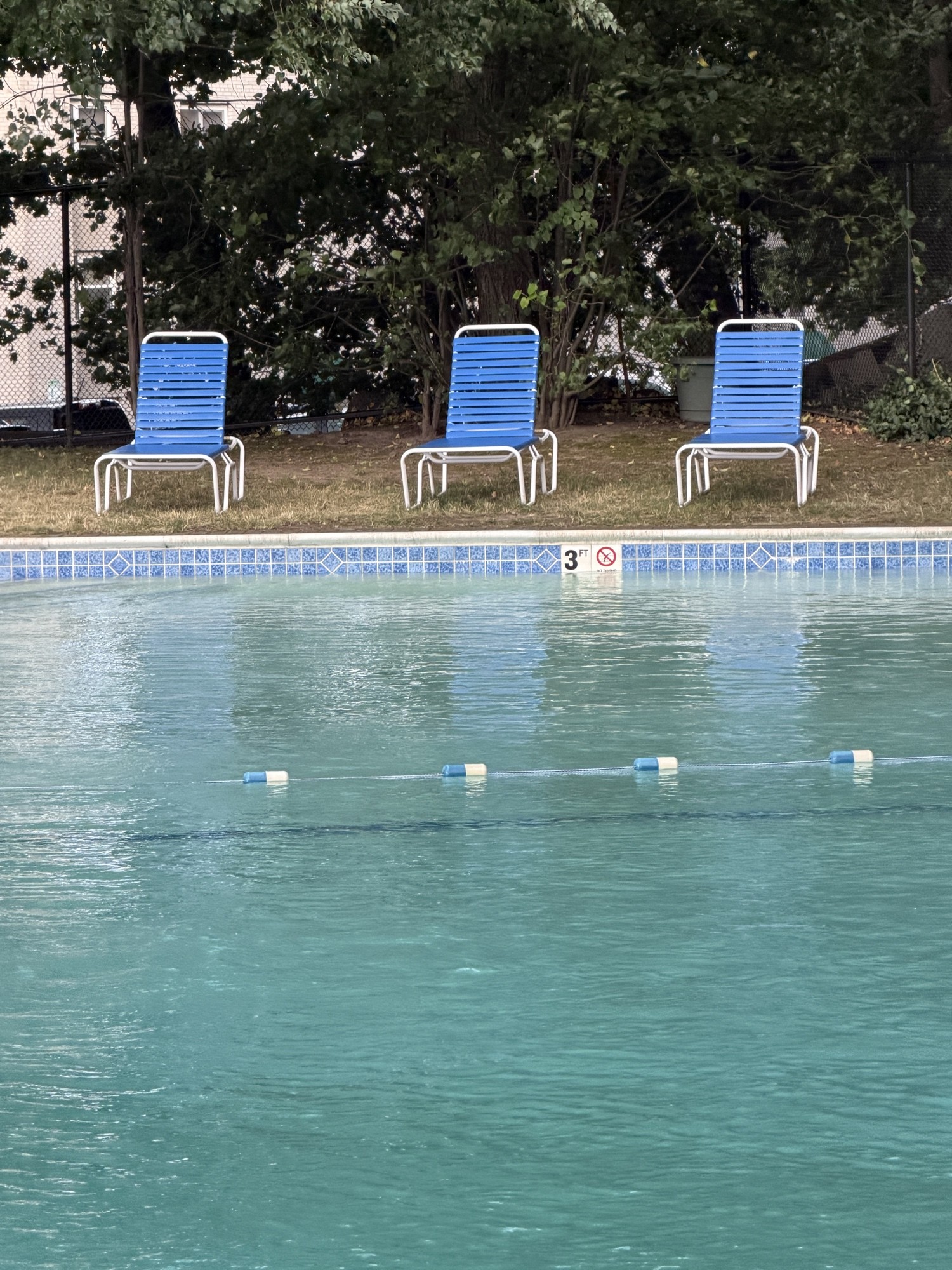 3 FT — NO DIVING. Observed at the shallow end. An unrelated warning that arrived on time.